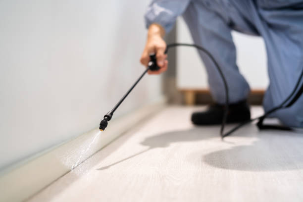 Licensed Termite Control service in Pana, IL - Nex Pest Control