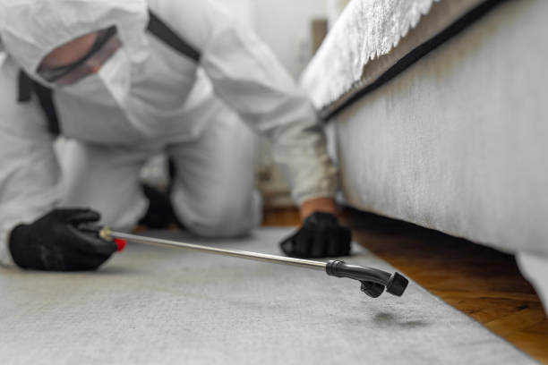 Professional Termite Control technician working in Pana, IL
