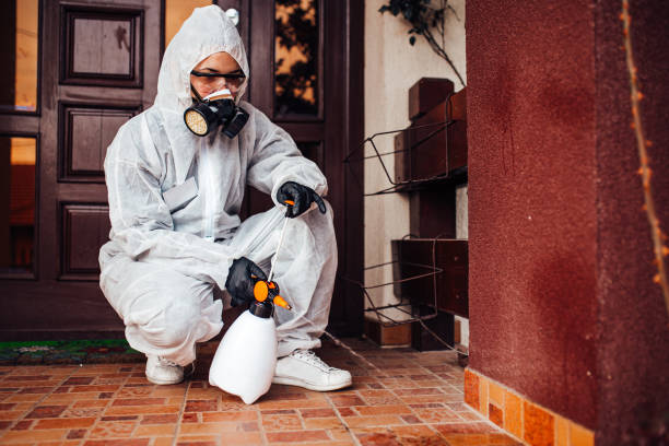 Reliable Termite Control contractor in Pana, IL by Nex Pest Control